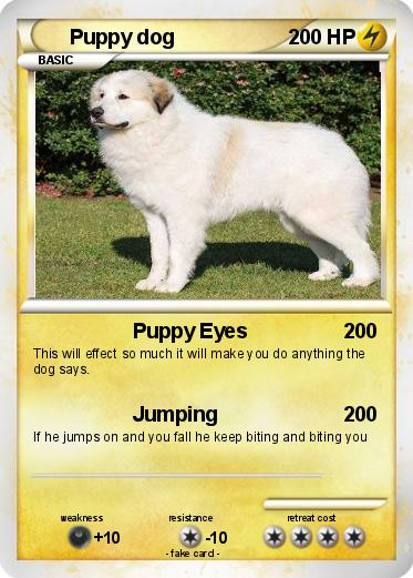 Pokemon Puppy dog