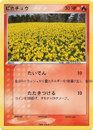 Pokemon ピカチュウ
