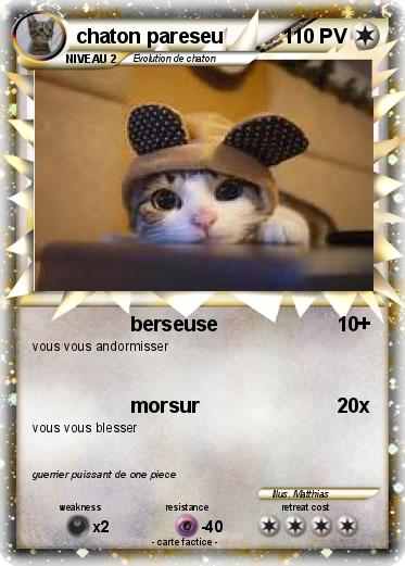 Pokemon chaton pareseu