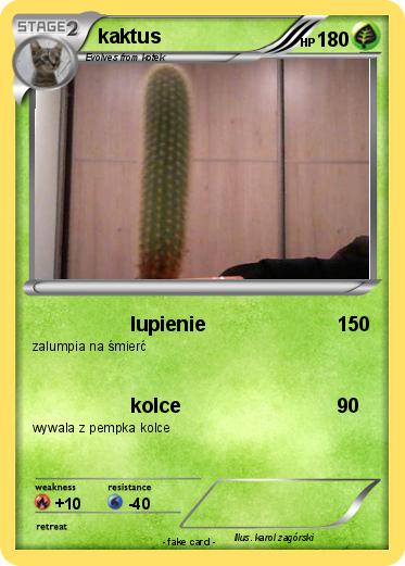 Pokemon kaktus