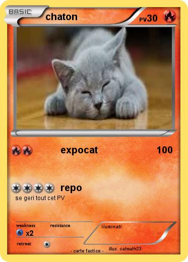 Pokemon chaton