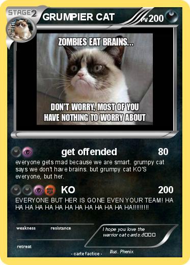 Pokemon GRUMPIER CAT