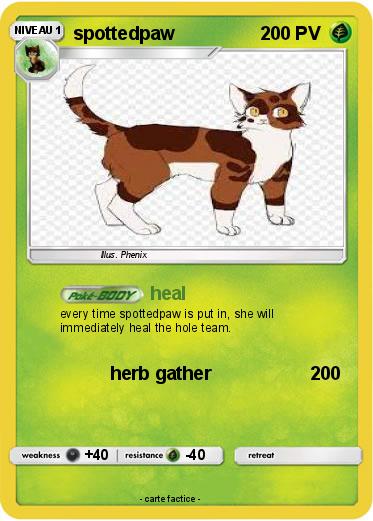 Pokemon spottedpaw