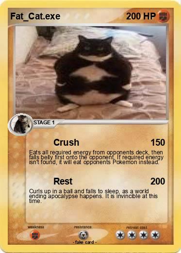 Pokemon Fat_Cat.exe