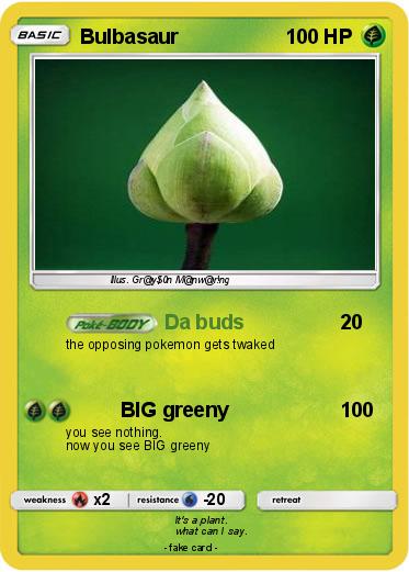 Pokemon Bulbasaur