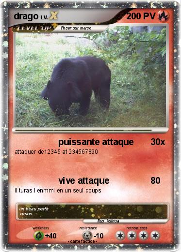 Pokemon drago