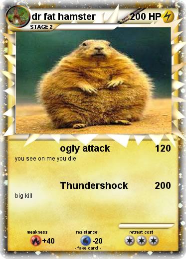 Pokemon dr fat hamster