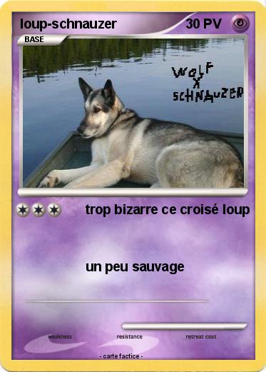 Pokemon loup-schnauzer