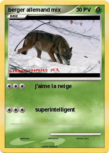 Pokemon berger allemand mix