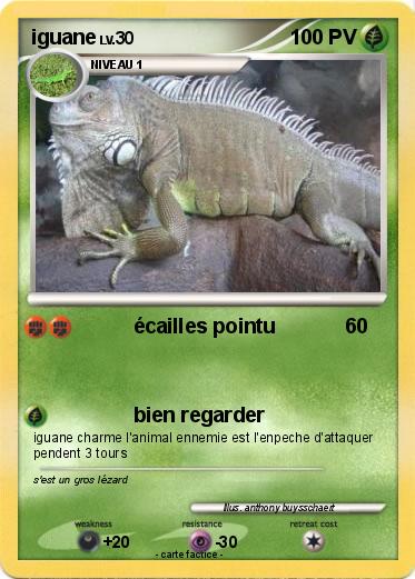 Pokemon iguane