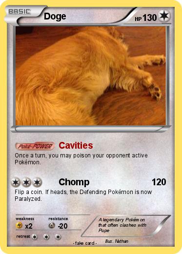 Pokemon Doge