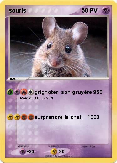 Pokemon souris