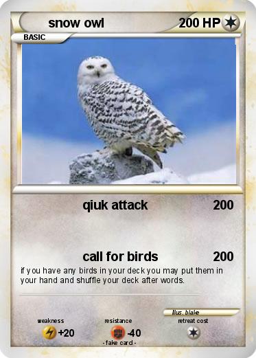 Pokemon snow owl