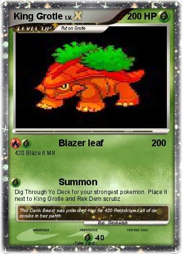 Pokemon King Grotle