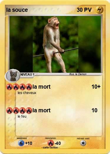 Pokemon la souce