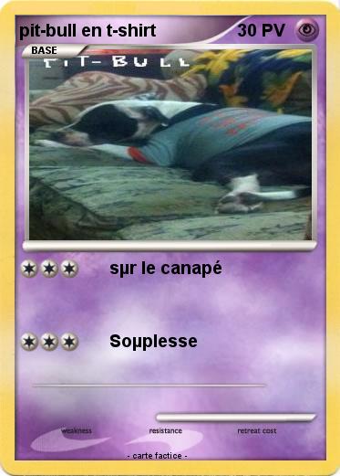 Pokemon pit-bull en t-shirt