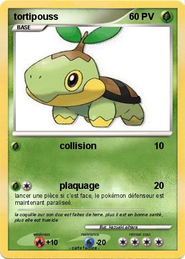 Pokemon tortipouss