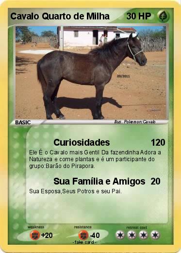 Pokemon Cavalo Quarto de Milha