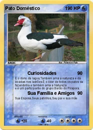Pokemon Pato Doméstico
