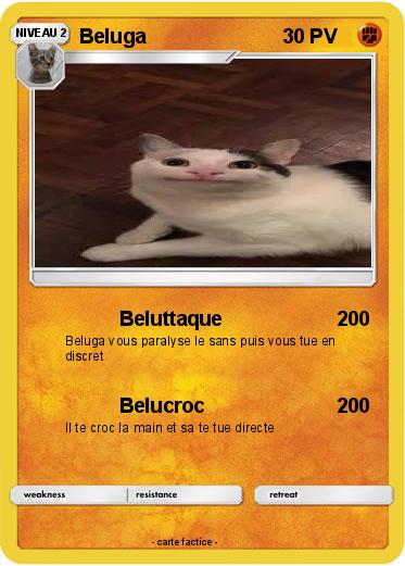 Pokemon Beluga