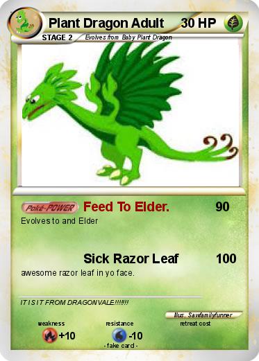 Pokemon Plant Dragon Adult