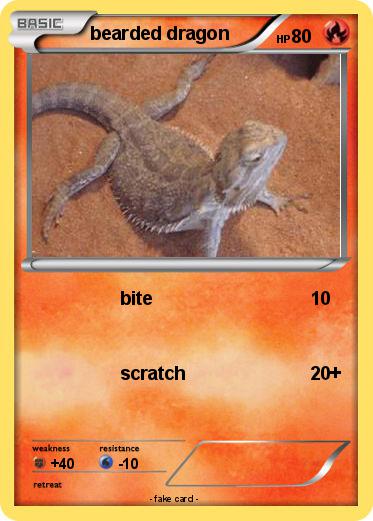 Pokemon bearded dragon