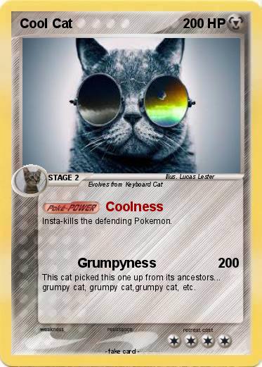 Pokemon Cool Cat