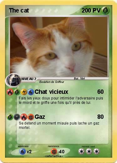 Pokemon The cat