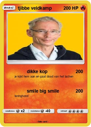 Pokemon tjibbe veldkamp