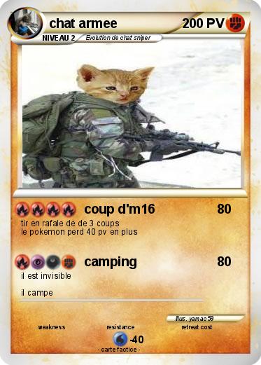 Pokemon chat armee