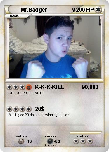 Pokemon Mr.Badger                 9,