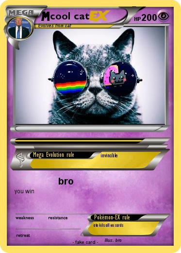 Pokemon cool cat