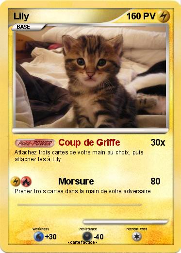 Pokemon Lily
