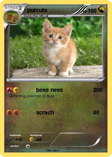 Pokemon purcute