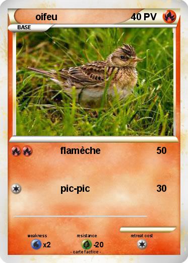 Pokemon oifeu