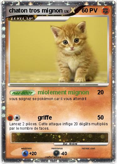 Pokemon chaton tros mignon