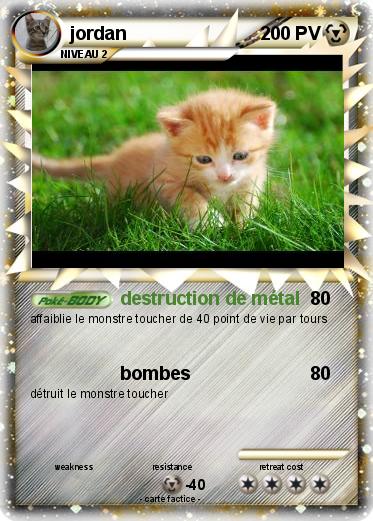 Pokemon jordan