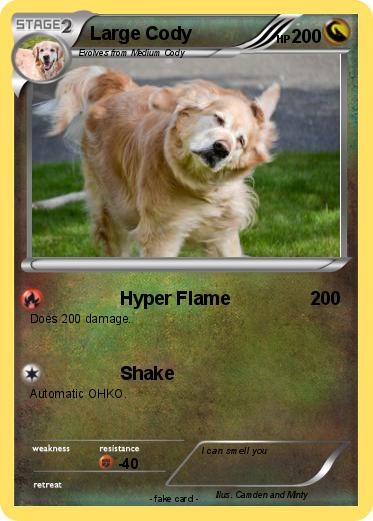 Pokemon Large Cody