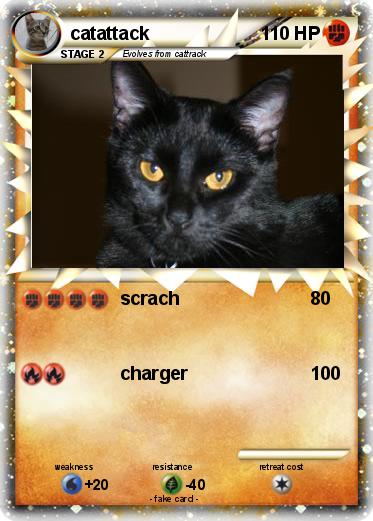 Pokemon catattack