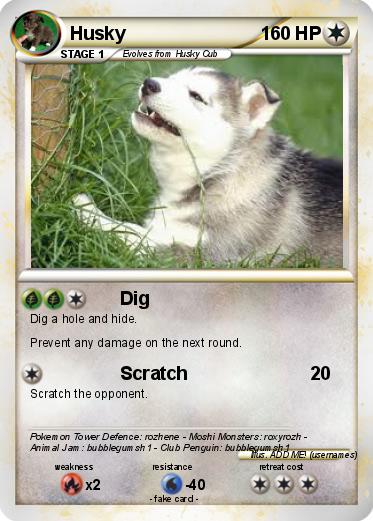 Pokemon Husky