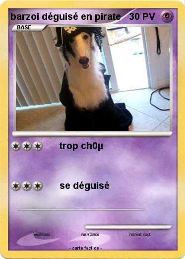 Pokemon barzoi déguisé en pirate