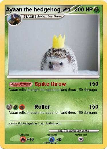 Pokemon Ayaan the hedgehog