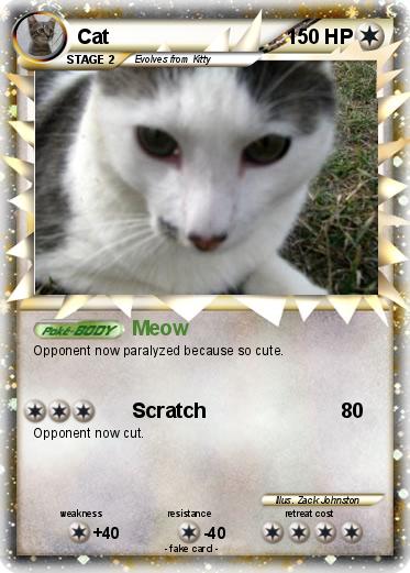 Pokemon Cat