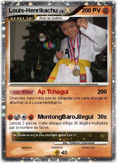 Pokemon Louis-Henrikachu