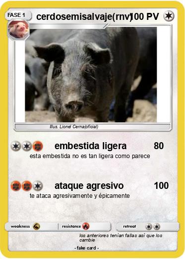 Pokemon cerdosemisalvaje(rnv)