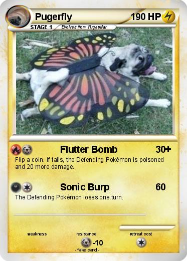 Pokemon Pugerfly