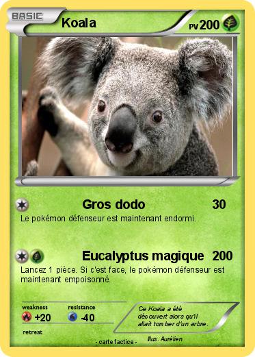 Pokemon Koala