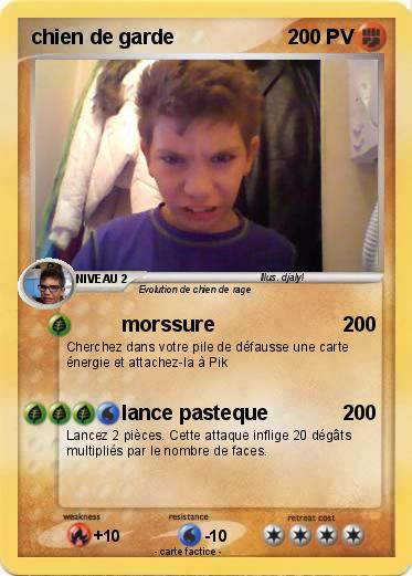Pokemon chien de garde