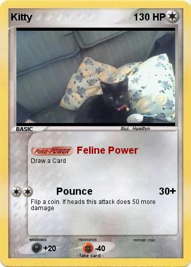 Pokemon Kitty