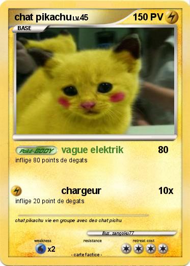 Pokemon chat pikachu